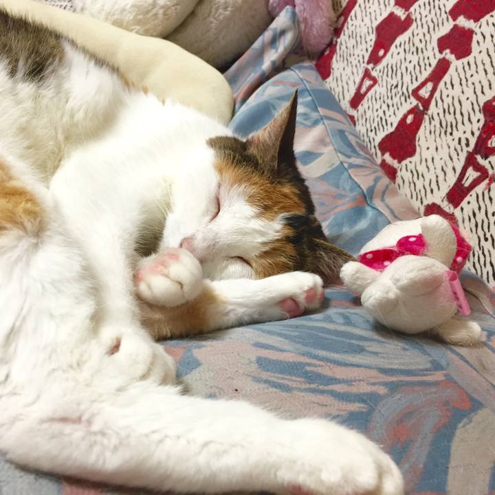 D6eedbfc 749b 4fe8 a15b 8eef68a68375