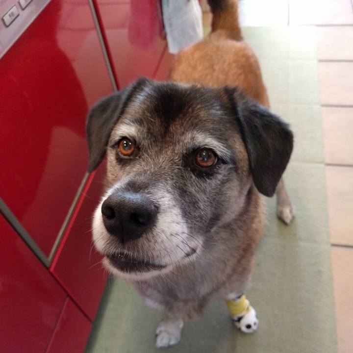 D6ef55bb df47 4e78 9005 c1a92e593c43