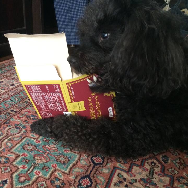 D6ef6301 45a9 4880 b137 10ae5f6d6465