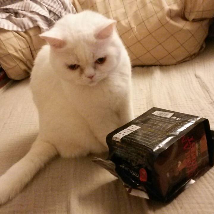 D6ef75ec c258 4a32 adca 174d4a3db5d1