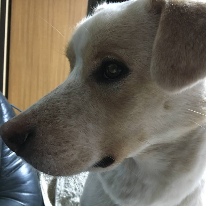 D6f020bb e773 41d9 af44 84e0ab981129