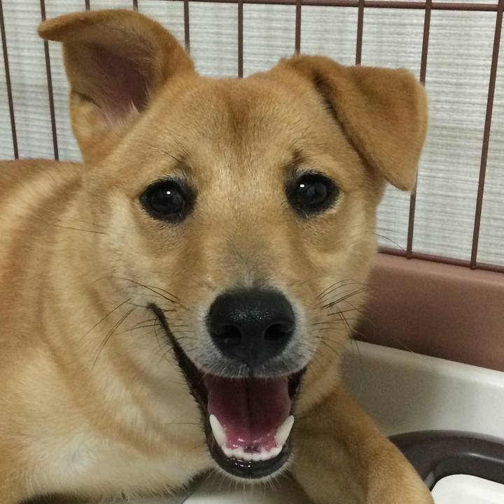 D6f06d16 734d 468f 8055 ed547287aeef