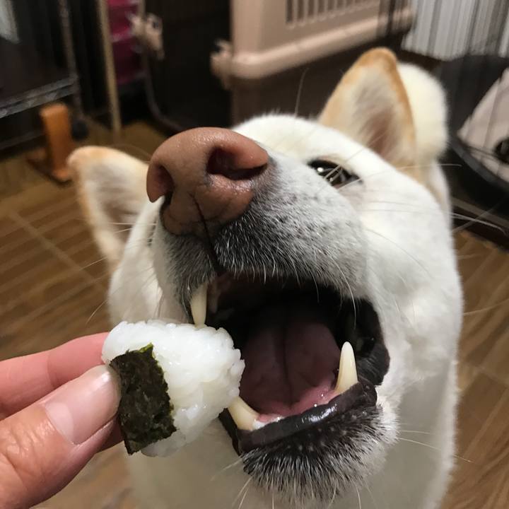 D6f07756 a291 4c02 9064 72c2bf6ccef6