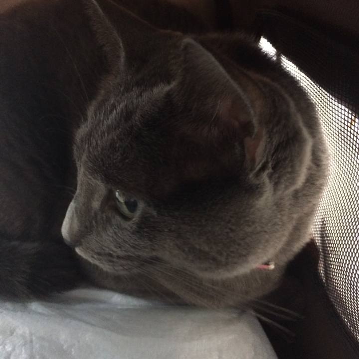 D6f0a69d bf46 49cc 8cf8 25c25617113a