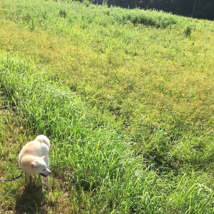 D6f0f155 74aa 4ee5 b0e3 e1e68d2fea70