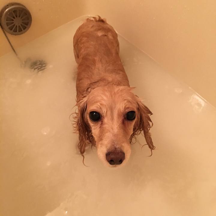 D6f12bdd 3c71 4b3e b8f5 753d19b3aab1