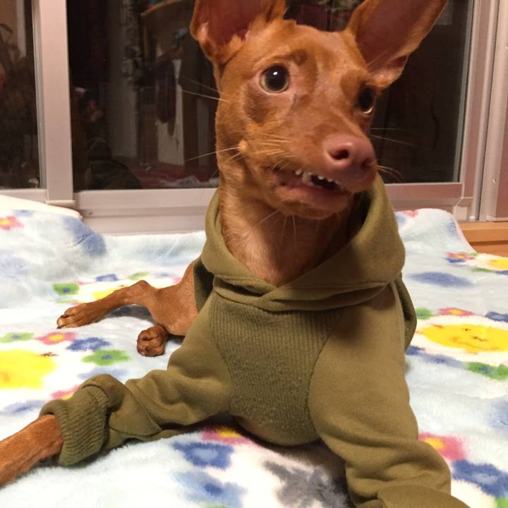 D6f1a0fe a583 4958 8c8c 3e44b9d42d68