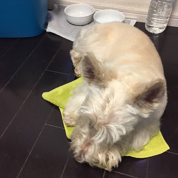 D6f1bd12 4ad8 4a02 b7c5 a54d263d8154