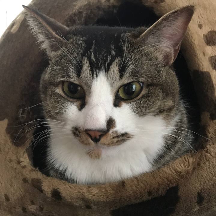 D6f2a0d6 ae21 4c07 a128 d3e2d92be9b5