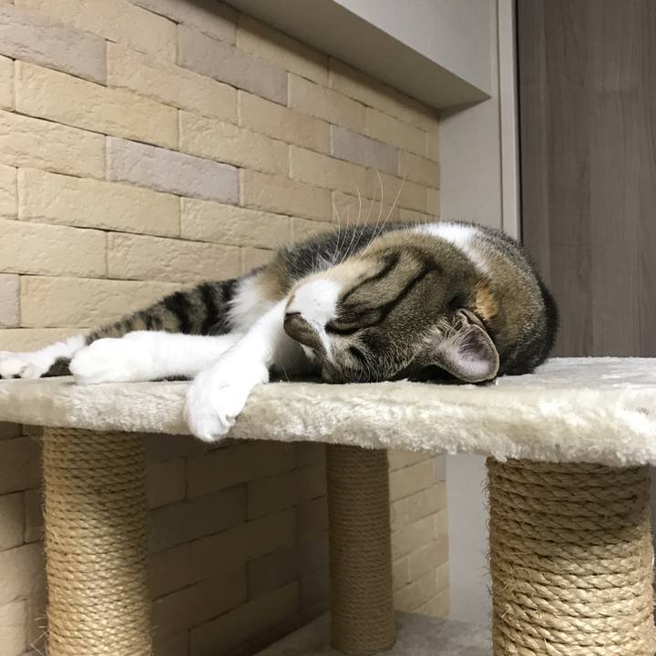 D6f2d2bf 9b8e 40bf 8a9f 988df44f1107