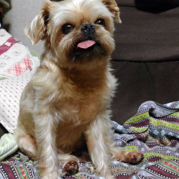 D6f2e0b6 12d4 47bc af67 8d2cb70468a4