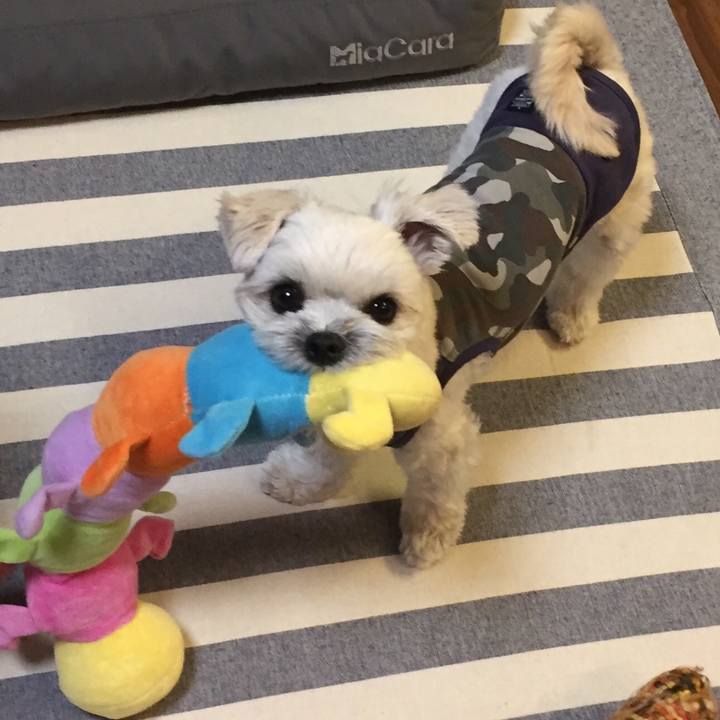 D6f302a3 788a 40bc 82bf 97e2197117d3