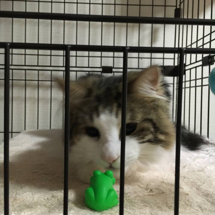 D6f3468c 21fa 4414 8607 ac9236072eae