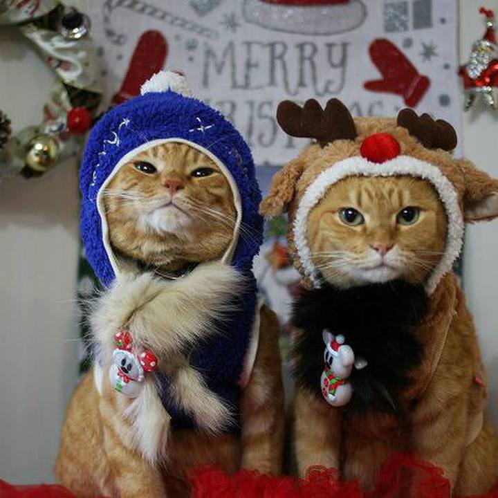 D6f4081d a3cb 41d9 bcb2 b456fbce8ac4