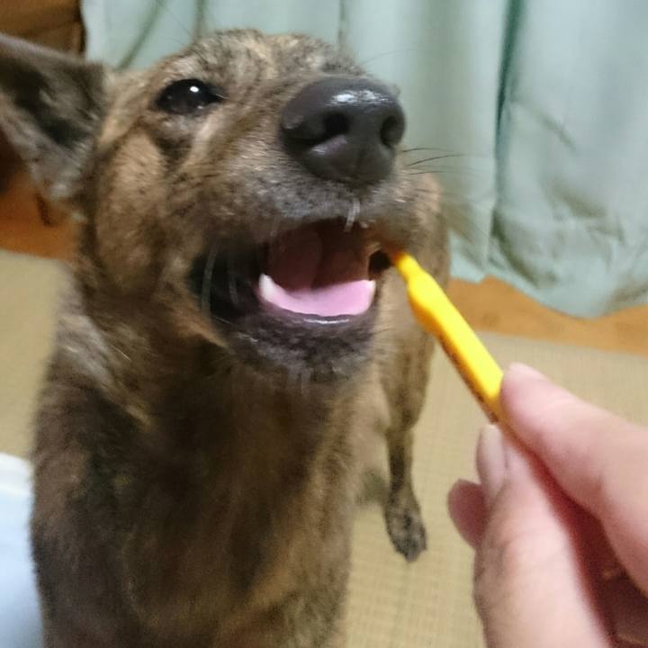 D6f421ca 3dfd 495d 82de bfc8f3740ec4