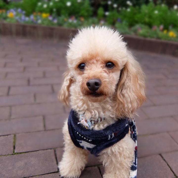 D6f57420 a5c2 4aa5 9aec e6cbe781f296