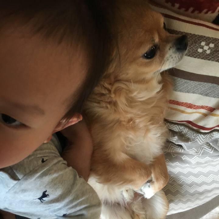 D6f59421 6635 4b9f 9f38 6cdfcaffa07c