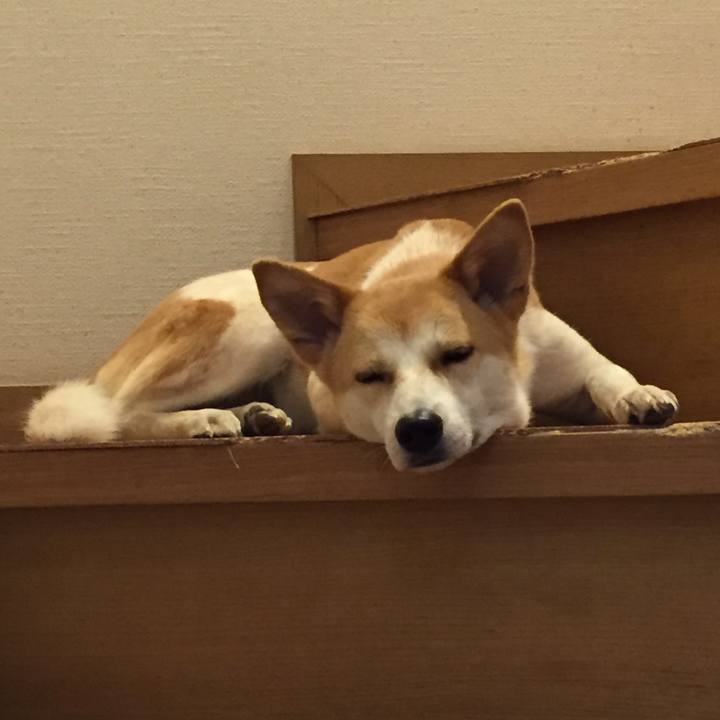 D6f5a70d 07b9 4f71 8099 5d615d65e6d9