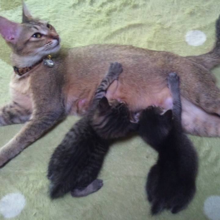 D6f5aaba ff58 468d b55d 14e5b22947a8