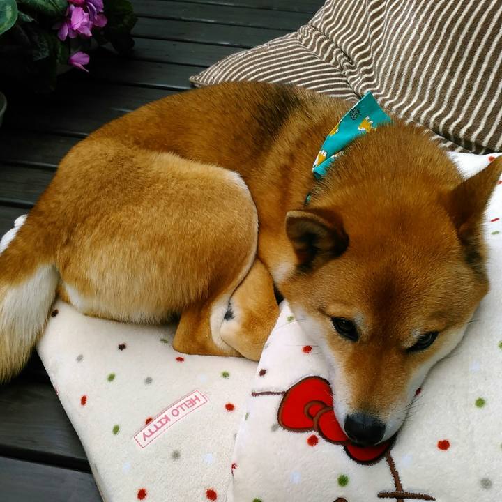 D6f71fdb dc22 4bd6 89c0 86b191664fb9