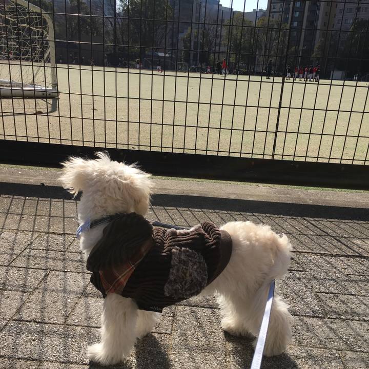 D6f78f89 e1c4 4618 9b16 8cbfc18e9020