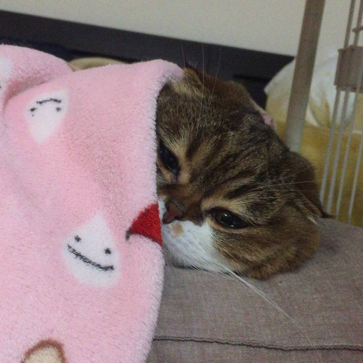 D6f7c4af 23bd 4648 b19f 1f7a79700e83