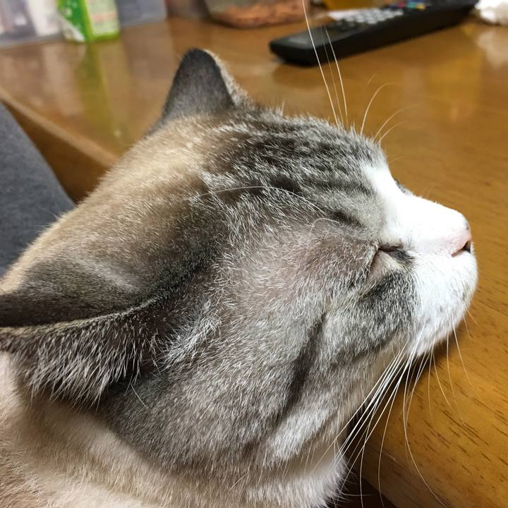 D6f7d646 35d8 431c a125 dcc5dab1ecf7