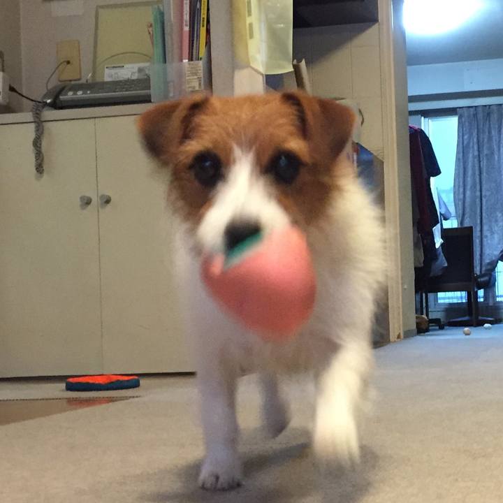 D6f8af0f b721 4a65 bb0a f327d8a6da87