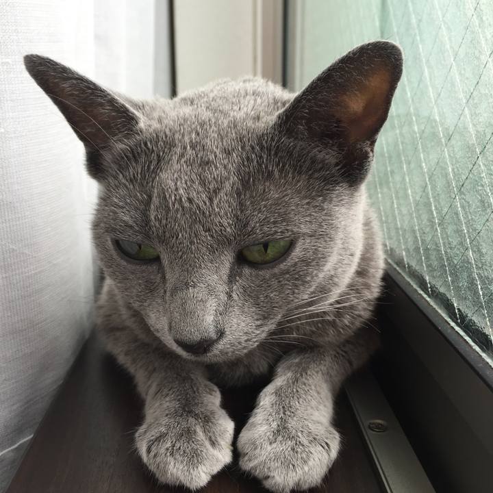 D6f981b8 b9aa 4324 8fa4 2331693c55ff