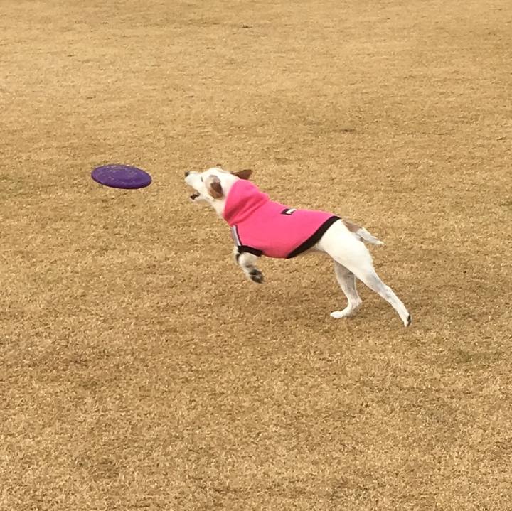 D6fa1beb fa8c 4a98 9fb7 cba3ecec1045