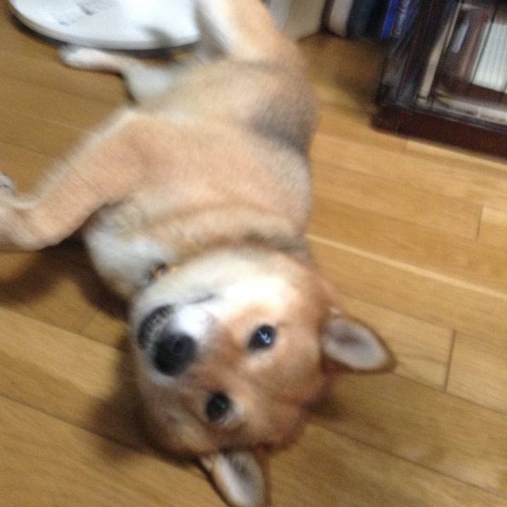 D6faf3a0 c096 46ce afbe d02abae205f9