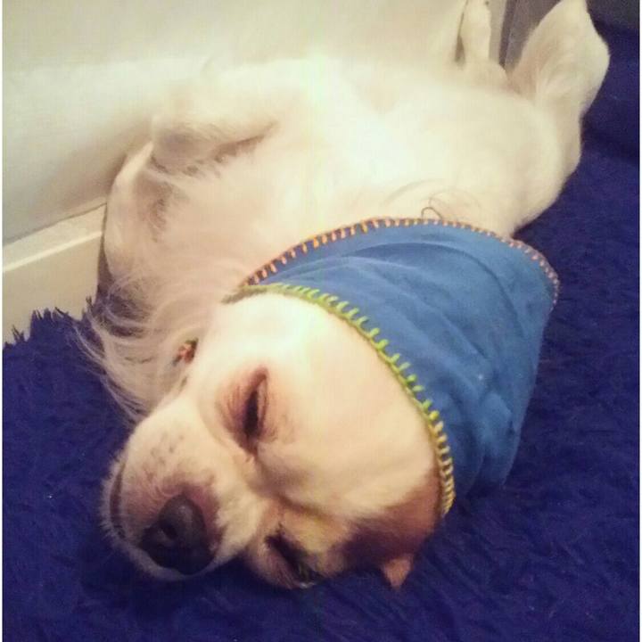 D6fb2f4a d77b 4ac7 a4f9 f84412faac35