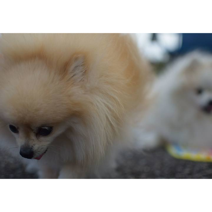 D6fb3f69 e9b7 41fa a44c f1459ebfcd13