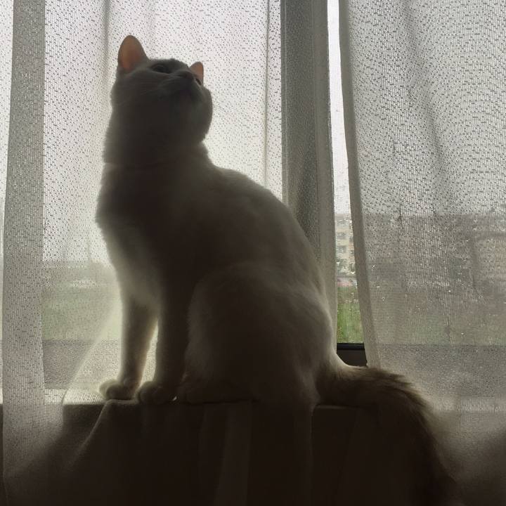 D6fc9010 c53a 4fb3 a9e7 50e8797b5081