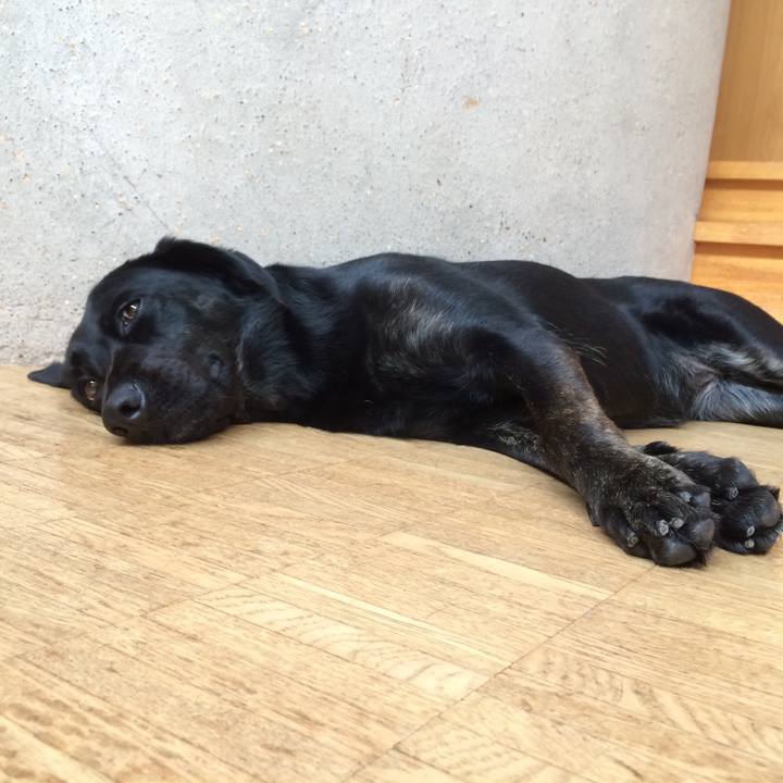 D6fd0e2e c464 41b5 92db a9fd0518d795