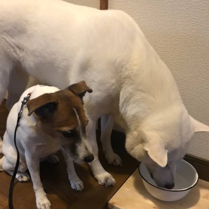 D6fd55c7 f1aa 4845 a986 603e5fb457e9