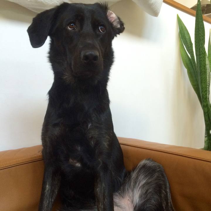 D6fe585e 6af5 4d8c 9b54 f20ebc732498