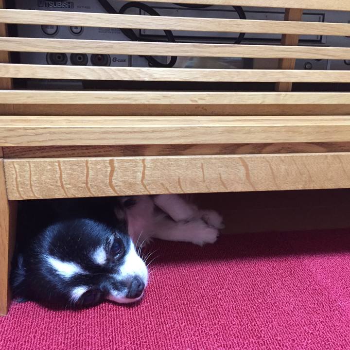 D6fe6cb9 d113 4339 9ba3 2a8dd27be188