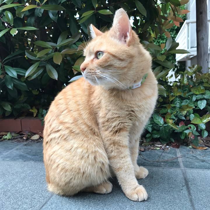 D6fe803c 3c16 4f5c bba7 102c1d6b20df