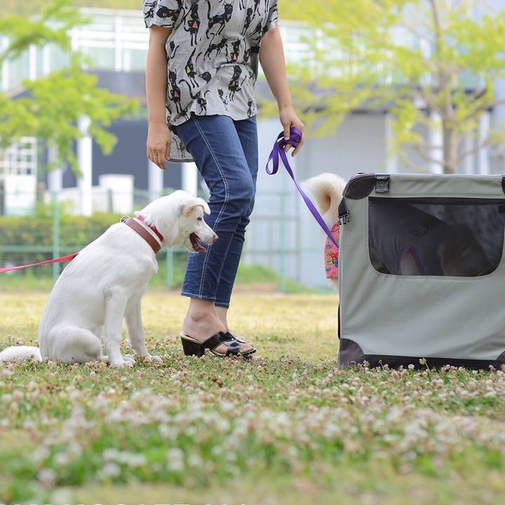 D6fea439 21b2 4267 bb3a f0f8f14a96f4