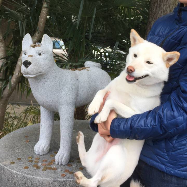 D6ff20ee 0965 40d0 9da9 507ff866d5e8