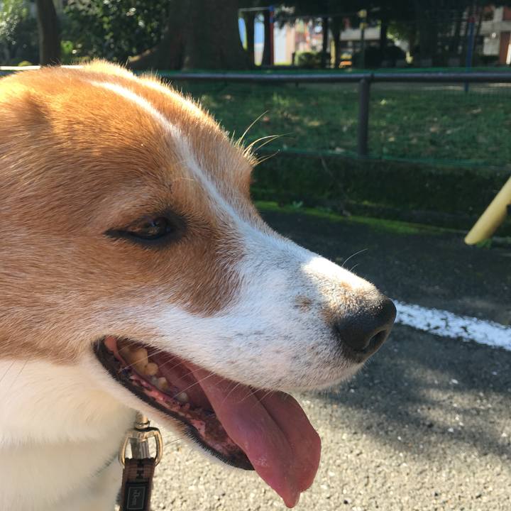 D6ff551d f12b 4d22 a615 2d8a9f70f7fd