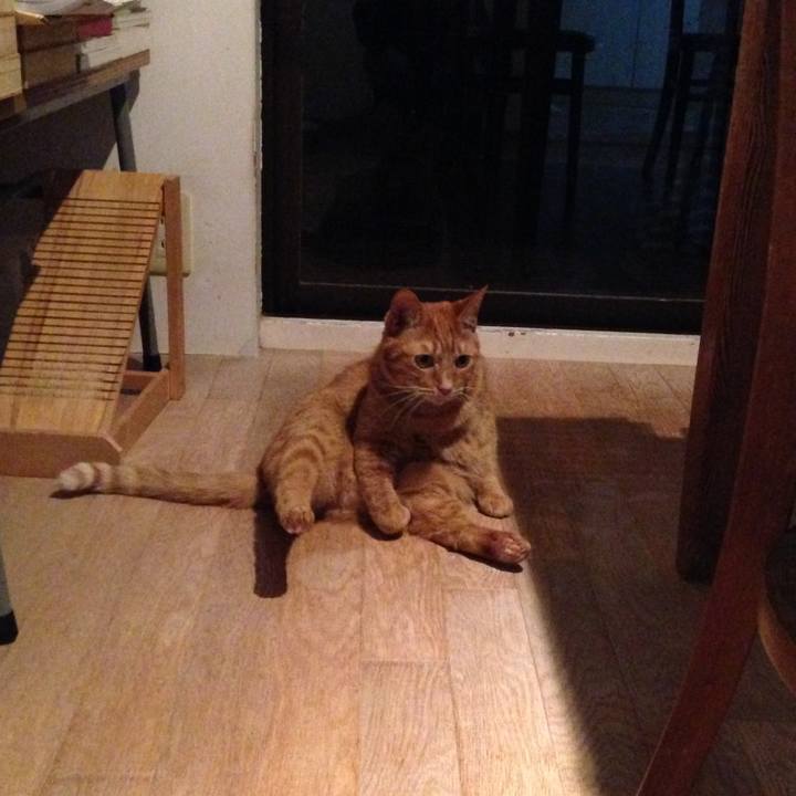 D6ff5f87 b707 46d4 be43 5cc12dacb8d5