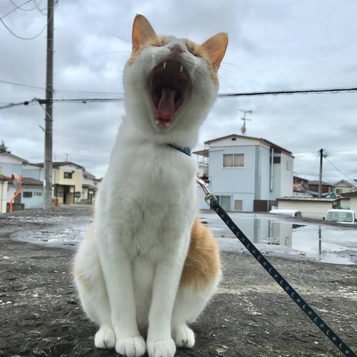 D6ff676e 8262 4e47 a671 4e14924ecb71