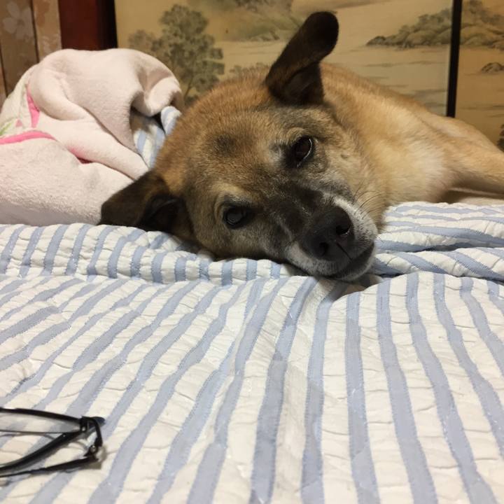 D70023f3 72c9 41a4 add6 c0477d819967