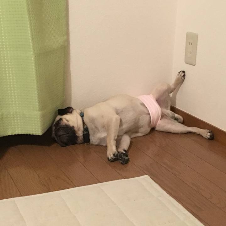 D700a42b 1c95 4dca 9901 d5119a27bcb5