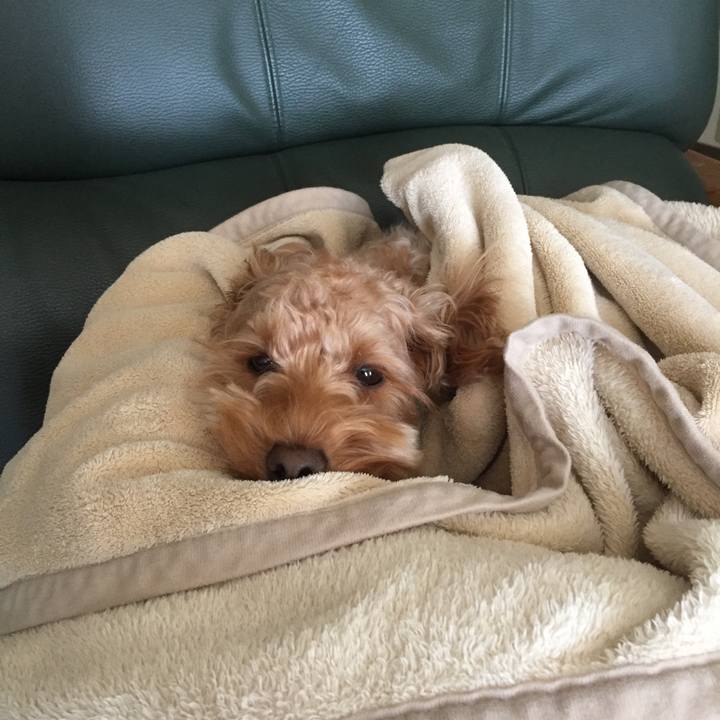 D70110c4 3717 44ce 94af 402eda4575aa