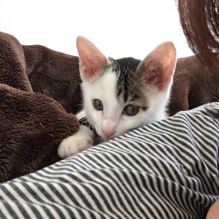 D7019e93 399d 4112 8b1e e7949dae9ef4