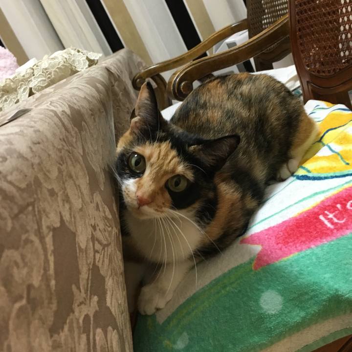 D701bcb8 2266 4b8f b88a b02fdfd12b3b