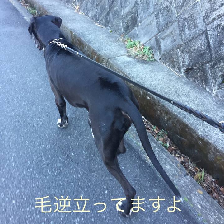 D701f8ad d723 4f09 83cd bccea9ba1262